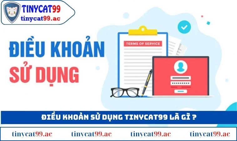 Điều khoản sử dụng TINYCAT99 là gì ?