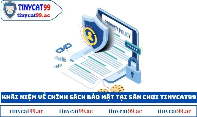 Khái niệm về chính sách bảo mật tại sân chơi TINYCAT99