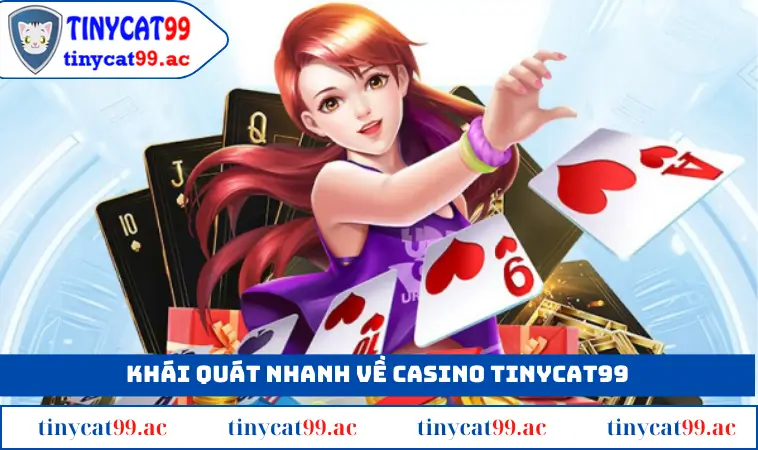 Sơ lược về casino TINYCAT99