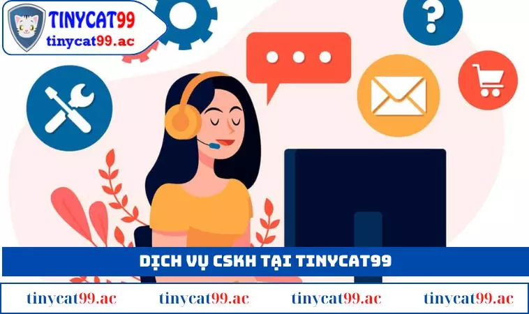 Dịch vụ CSKH chuyên nghiệp tại sảnh nhà cái