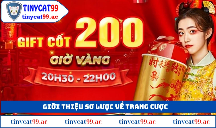 Giới thiệu đôi nét sơ lược về trang cược