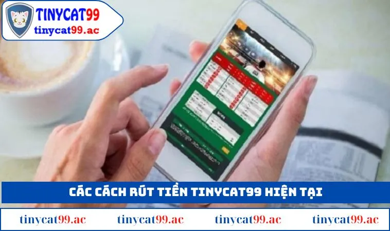 Hướng dẫn các cách rút tiền TINYCAT99 nhanh gọn lẹ